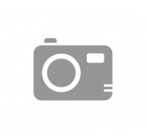 Nikon Z fc